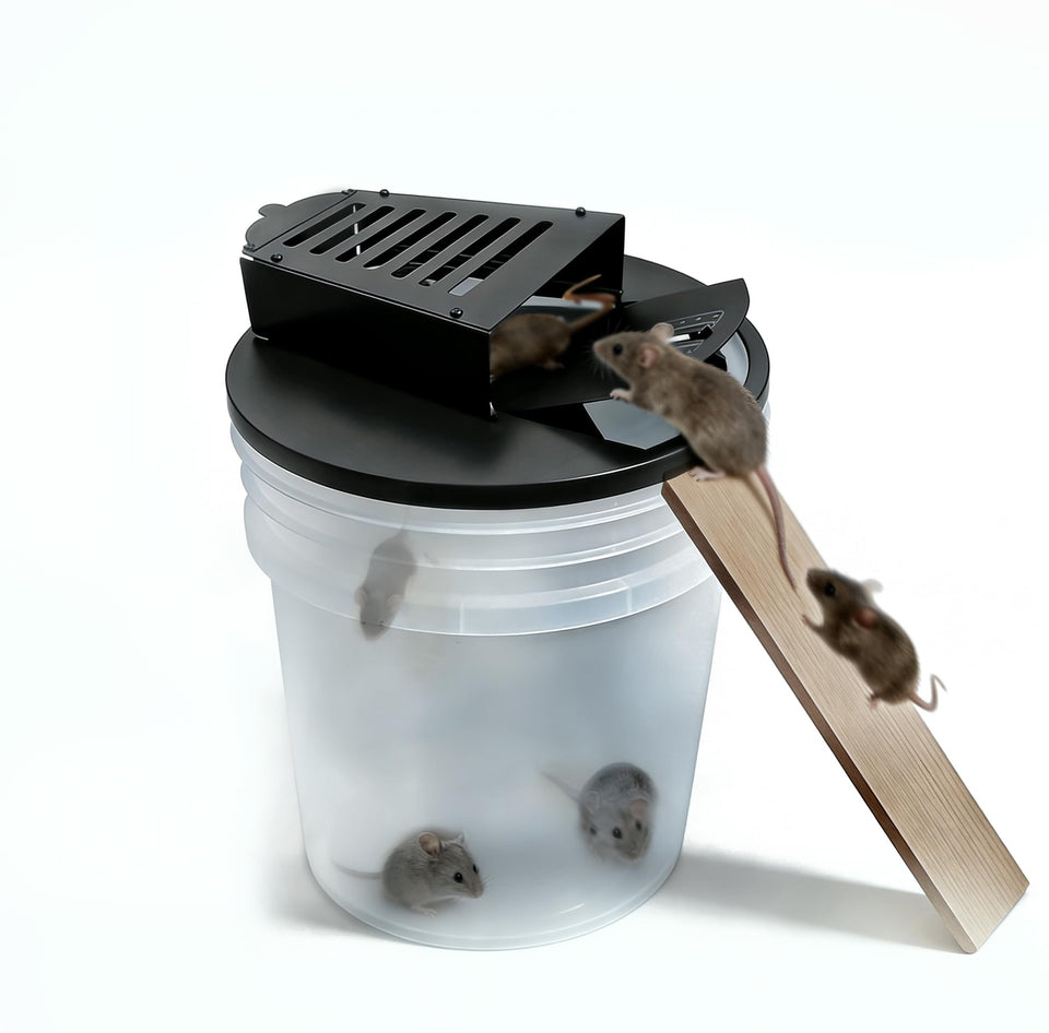 DONGWUZHIDAO bucket trap lid showing quick 5-minute assembly for standard 5-gallon buckets.