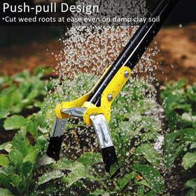 DonSail push-pull hoe demonstrates safer, efficient weeding action