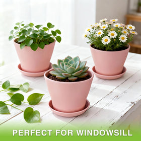 Doobbu pots with drainage holes and saucers help prevent spills