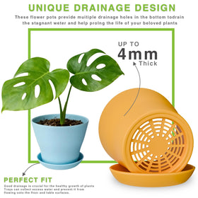 Doobbu open-design 4-inch pot for easy planting and repotting