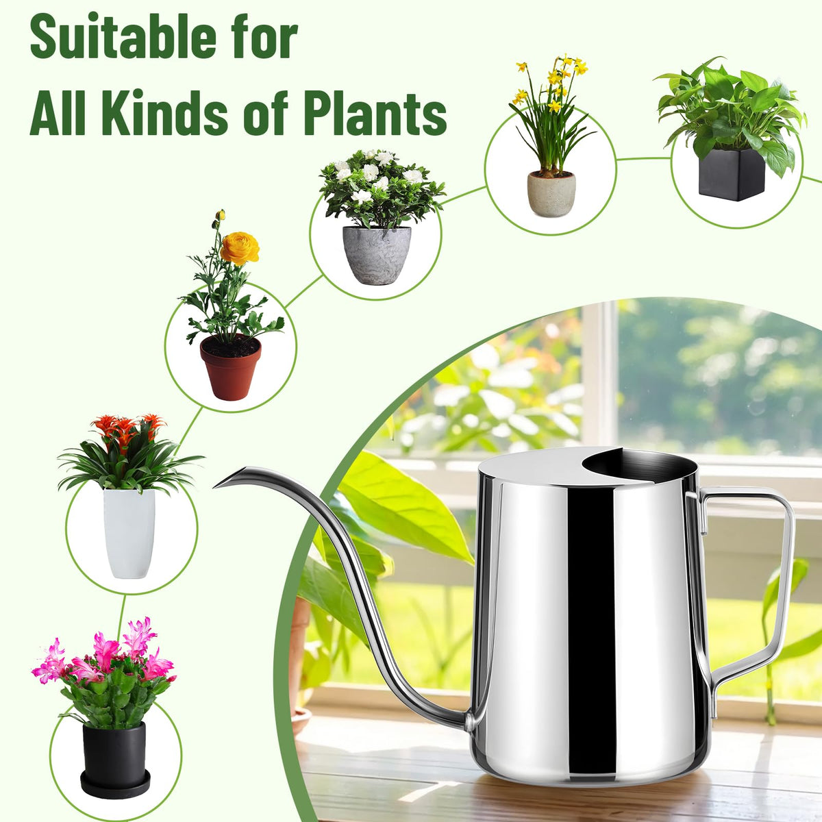 Doseno versatile watering can for plants, vases, humidifiers, and seedlings.