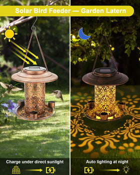 Dosevita solar bird feeder offers 360-degree viewing for birdwatching day and night