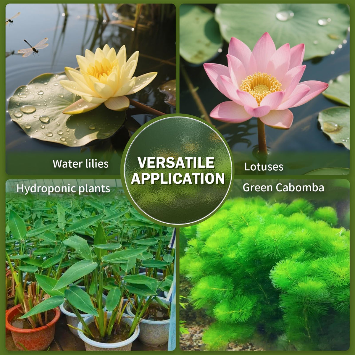 Doter soil works for hydroponic aquatic plants and water gardens.