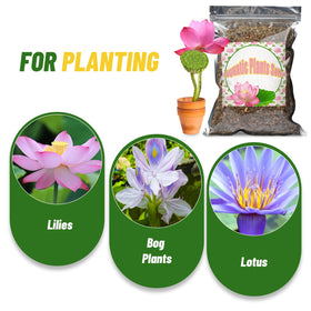Doter Aquatic Soil in a pond setup with water lilies indicating stable root anchoring.