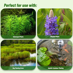Doter Aquatic Soil in pond supports moisture and root development for aquatic plants