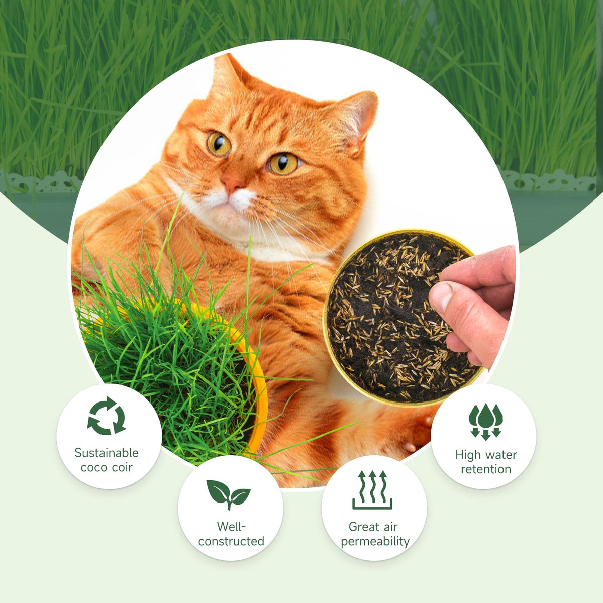 Doter biodegradable coir discs packaging for sustainable gardening.