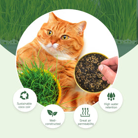 Doter biodegradable coir discs packaging for sustainable gardening.