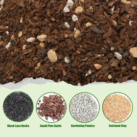 Doter Bonsai Soil enhances drainage and airflow to the roots for healthier growth.