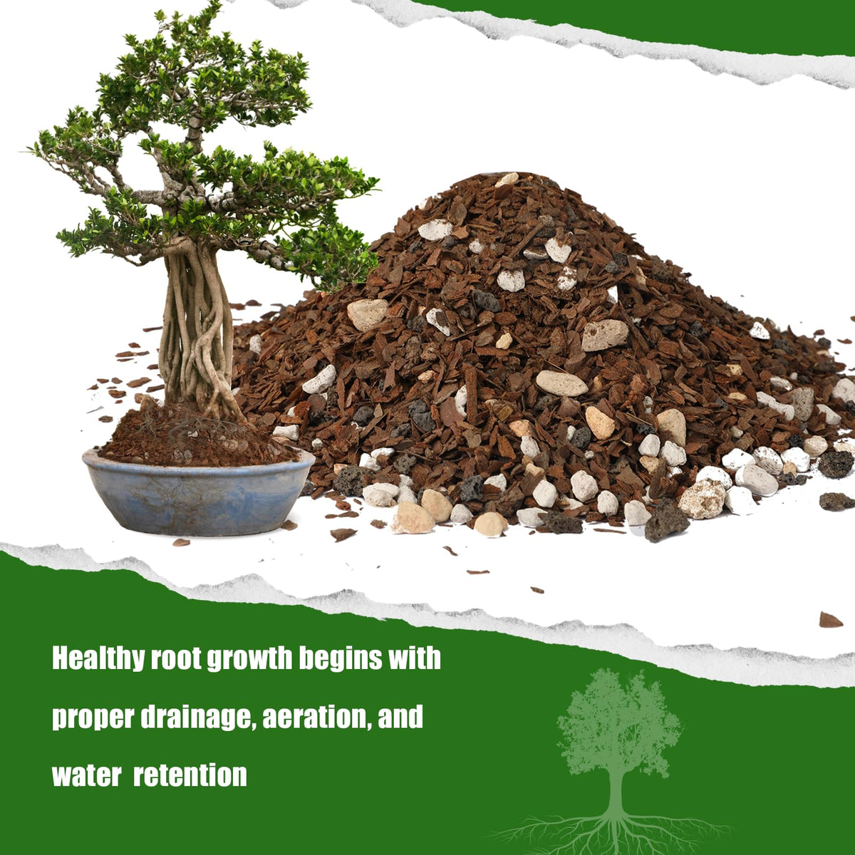 Doter Bonsai Soil Mix demonstrated drainage-focused texture supporting healthy roots.