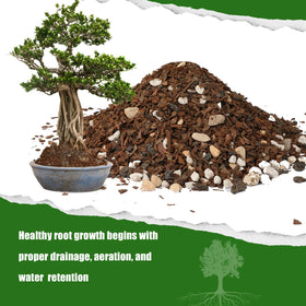 Doter Bonsai Soil Mix demonstrated drainage-focused texture supporting healthy roots.