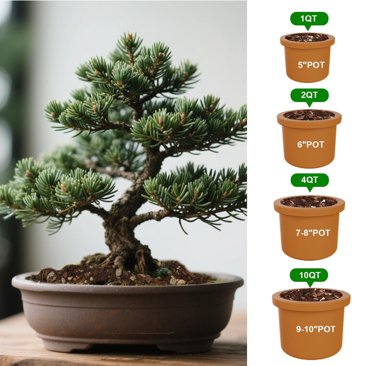 Doter Bonsai Soil Mix in-pot setup suggests easy use in new bonsai pots.