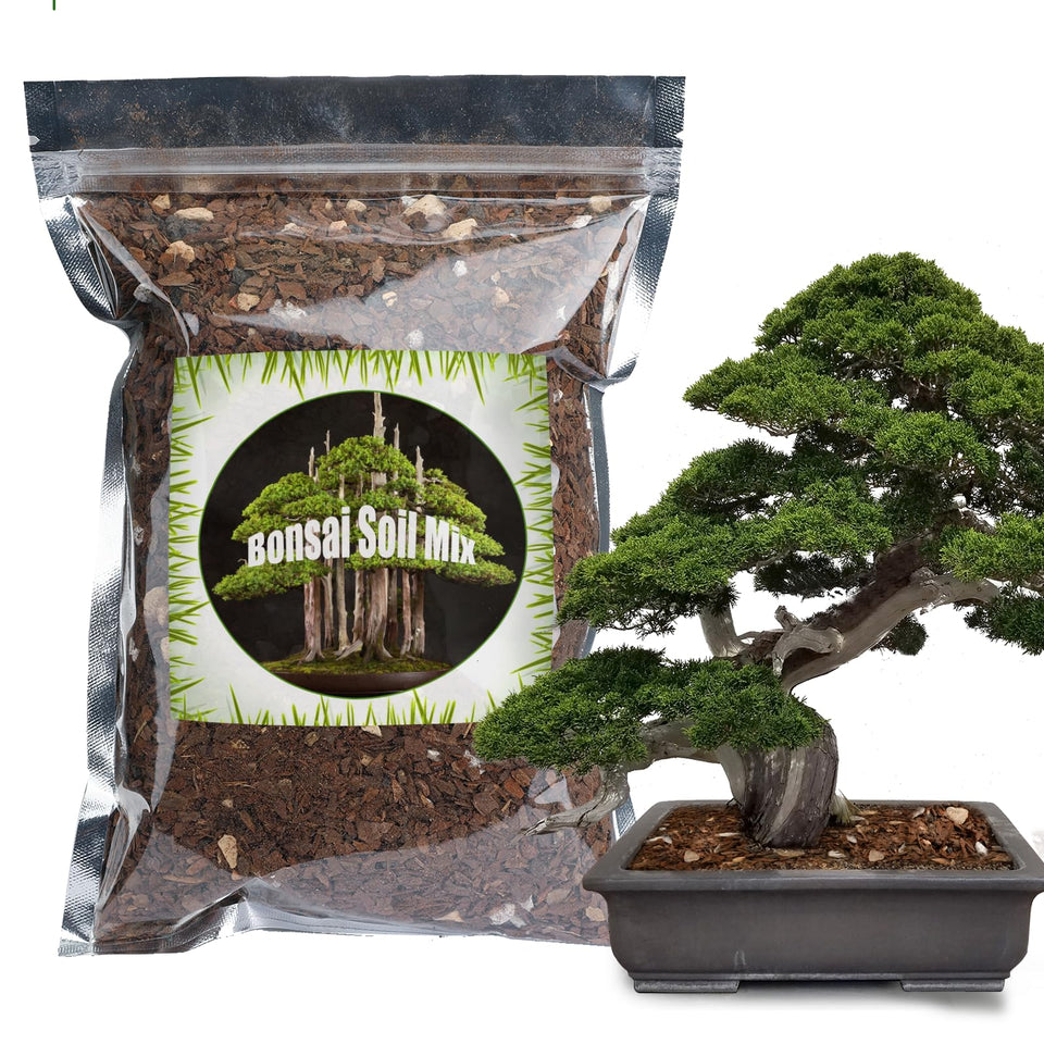 Doter Bonsai Soil Mix ready-to-use bag shown for convenient repotting.