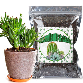 Doter cactus-succulent soil mix 1qt bag promotes practical, well-drained soil for indoor plants.