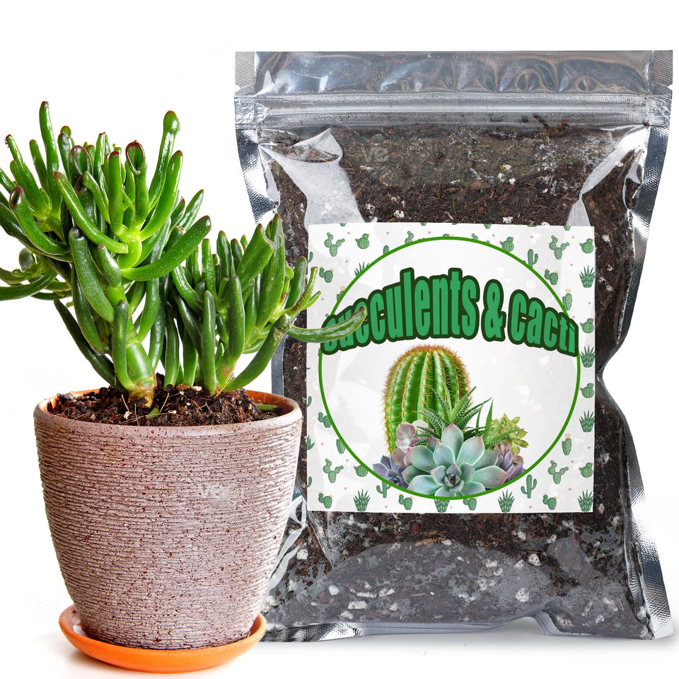 Doter cactus-succulent soil mix 1qt bag promotes practical, well-drained soil for indoor plants.