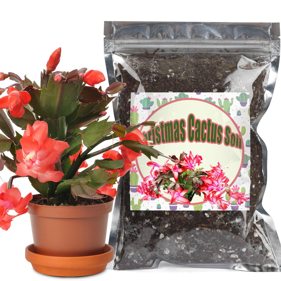 Doter Christmas Cactus Soil Mix 2qt bag supports healthy indoor growth