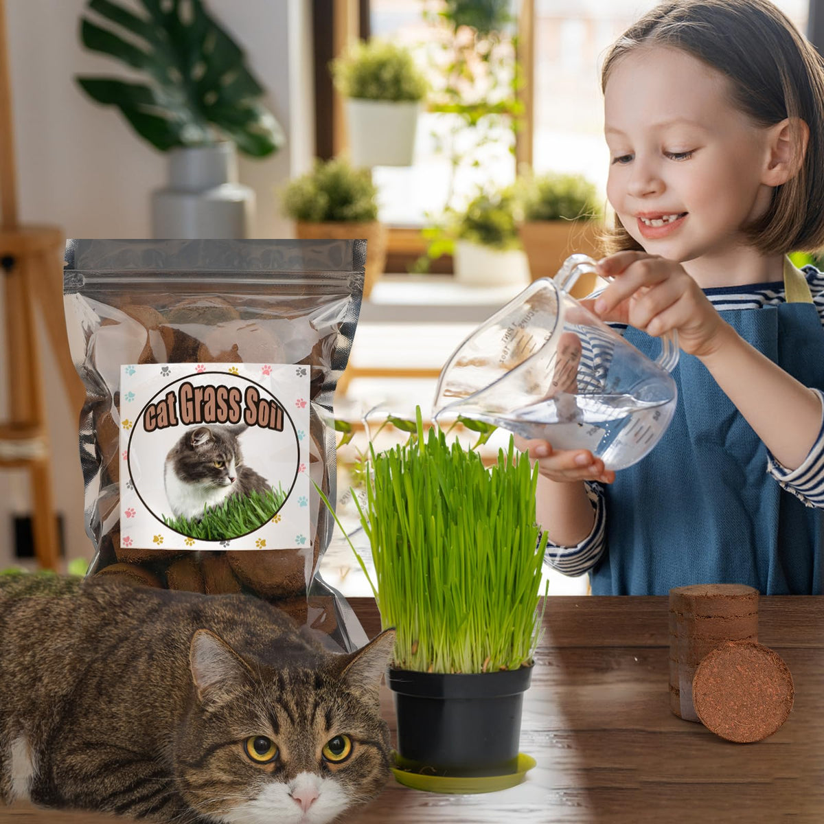 Doter eco-friendly solution reduces peatland impact.