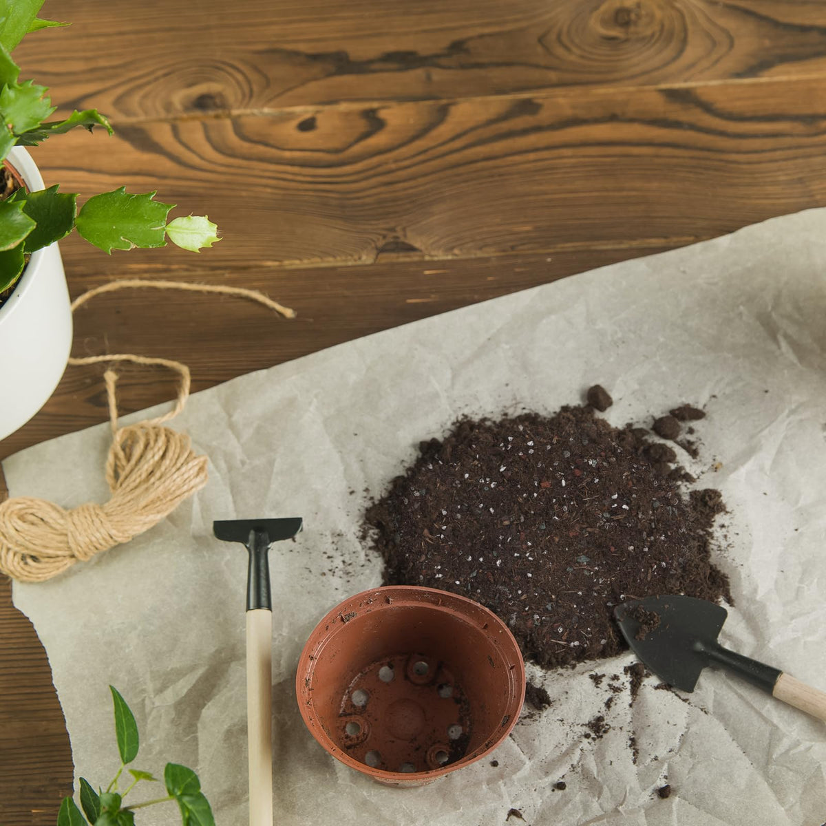 Doter moisture-retention soil helps steady plant hydration