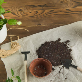 Doter moisture-retention soil helps steady plant hydration