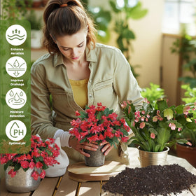 Doter nutrient-rich formula supports root growth and blooms