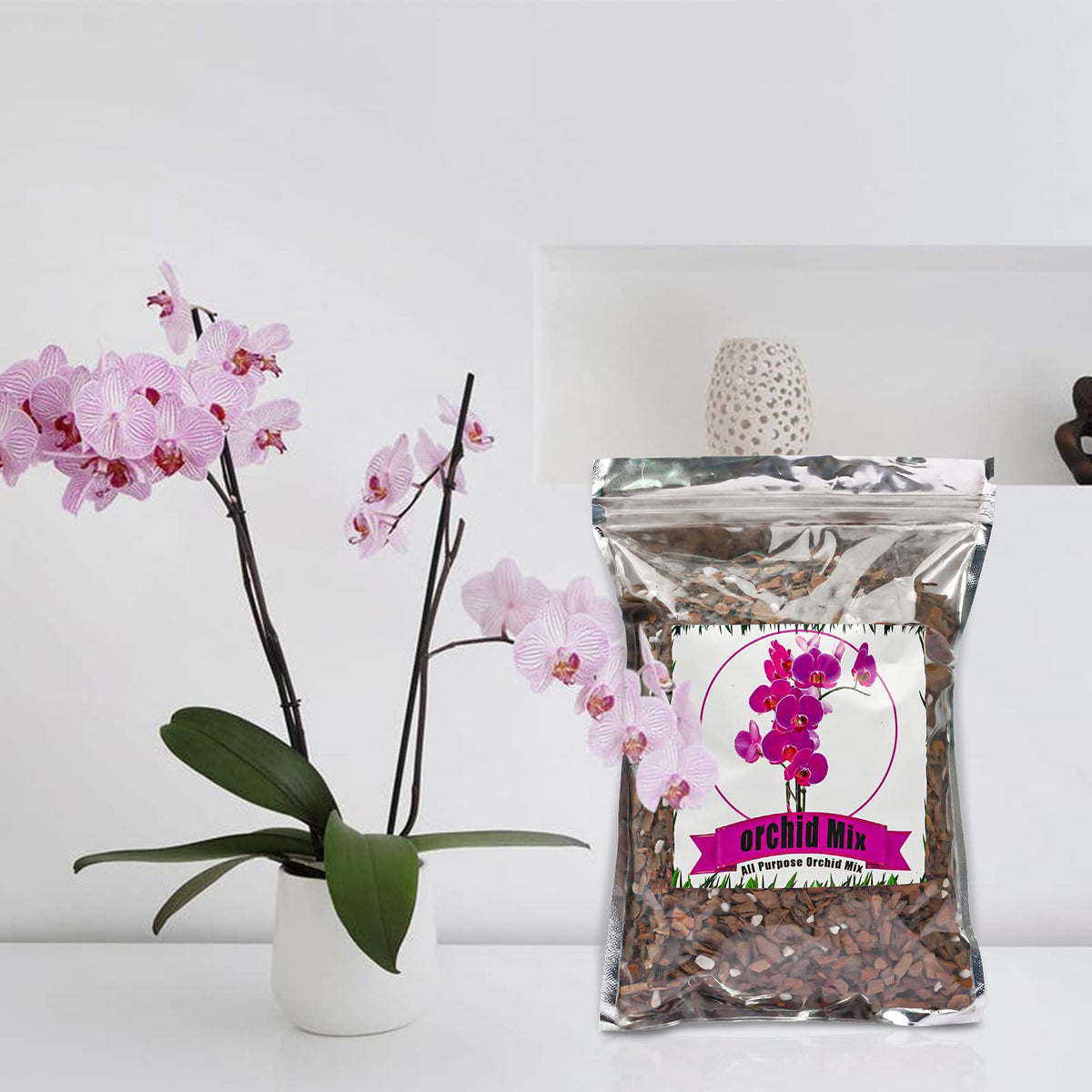Doter orchid mix demonstrates drainage and moisture balance for epiphytic orchids.
