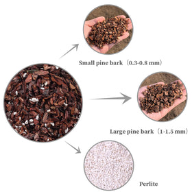 Doter orchid repotting using bark mix promotes root health.