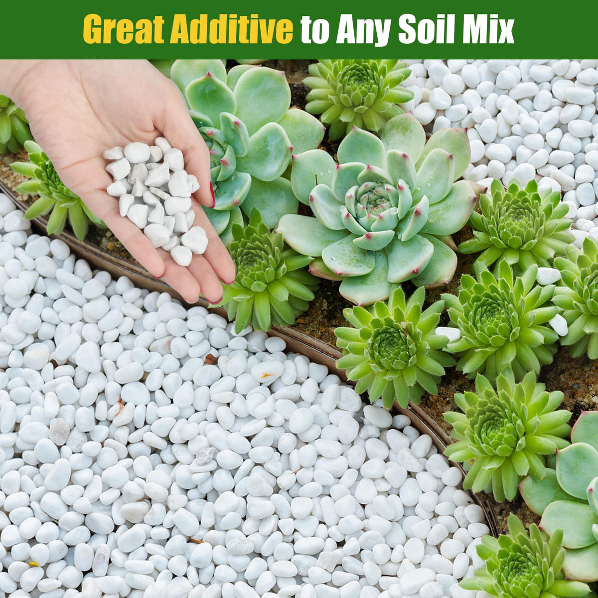 Doter Organic Chunky Perlite used in propagation with cuttings.