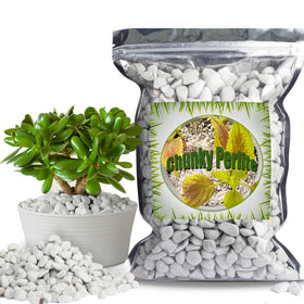 Doter Organic Chunky Perlite large particles for drainage.
