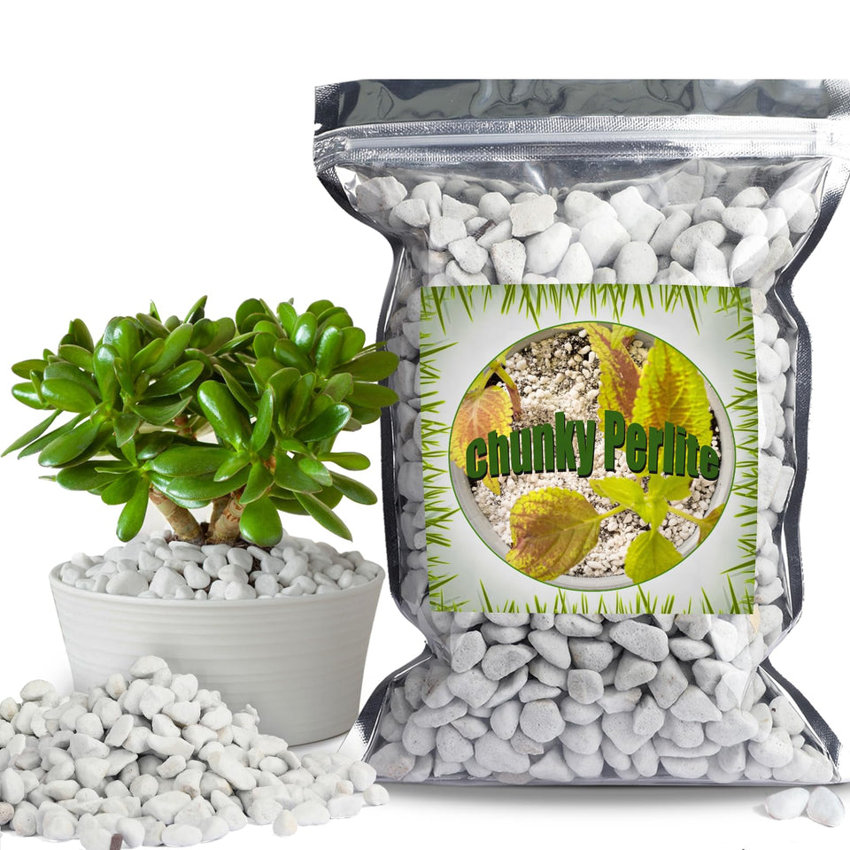 Doter Organic Chunky Perlite large particles for drainage.