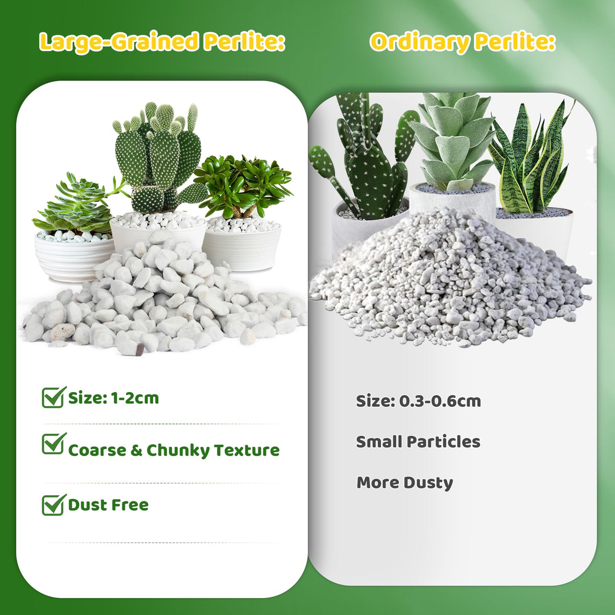 Doter Organic Chunky Perlite aiding root growth in soil mix.