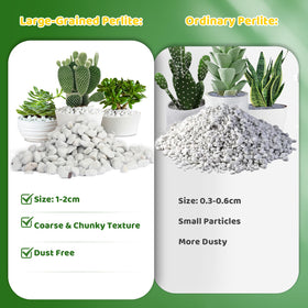 Doter Organic Chunky Perlite aiding root growth in soil mix.