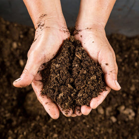Doter Organic Sphagnum Peat Moss moisture retention demonstrated for seed starting mix