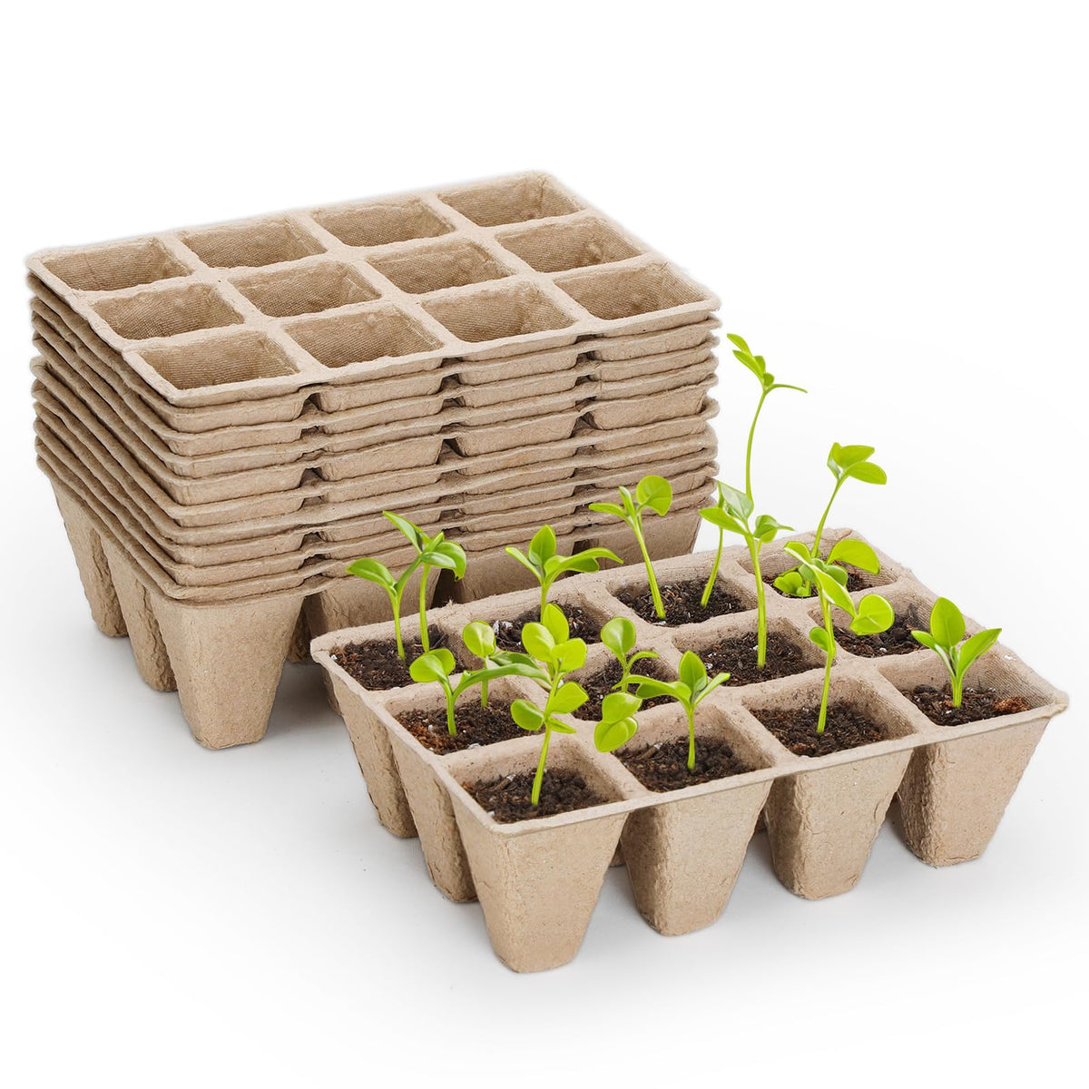 Doter seedling tray 120 cells enables organized germination and smooth transplanting