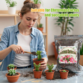 Doter succulent-friendly texture promotes healthy roots