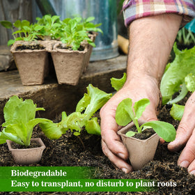 Doter versatile seed trays suit herbs, vegetables, and many plant types