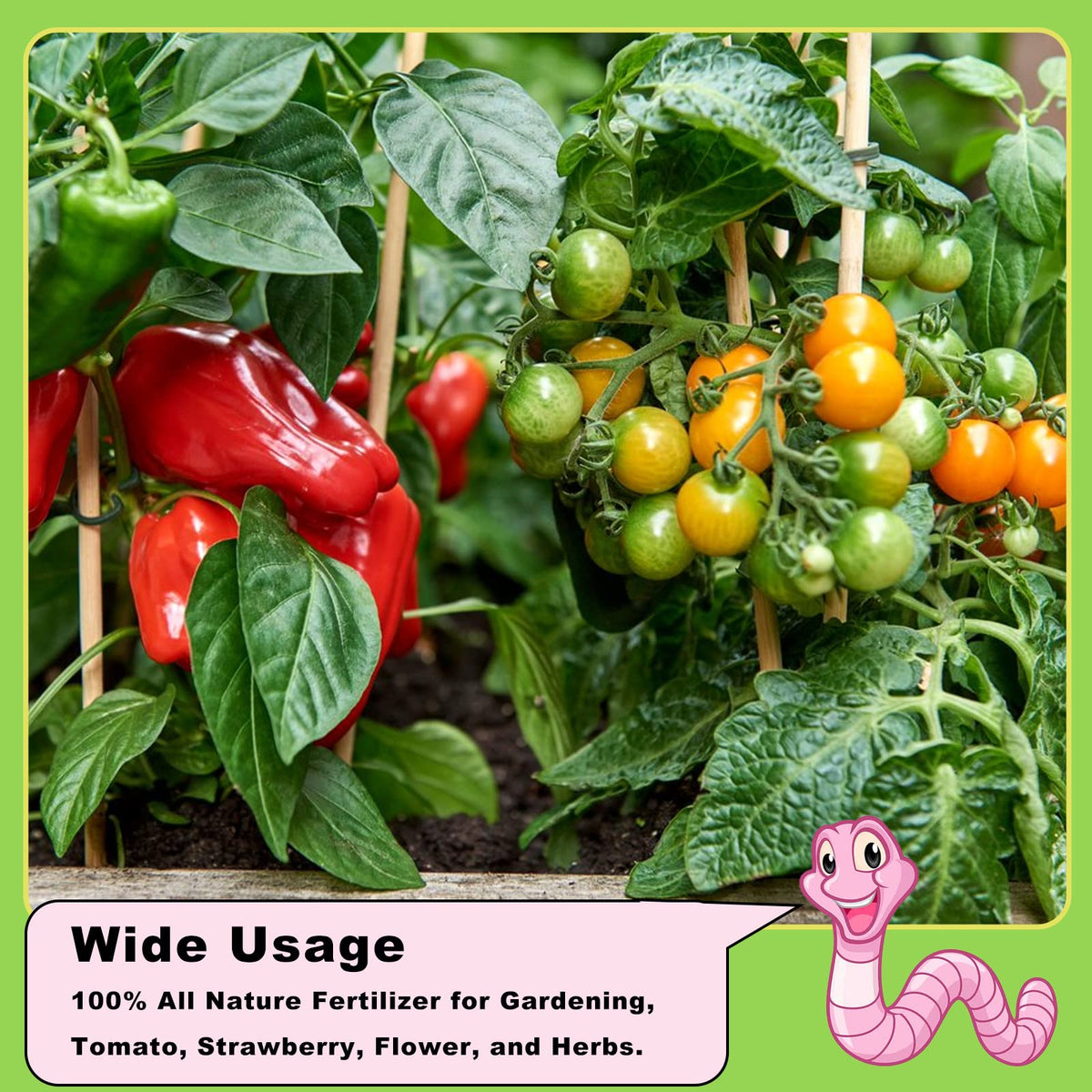 Doter worm castings eco-packaging highlighting sustainable, non-toxic fertilizer.
