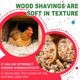 DOTUHAO natural, fragrance-free shavings maintain a fresh coop atmosphere.