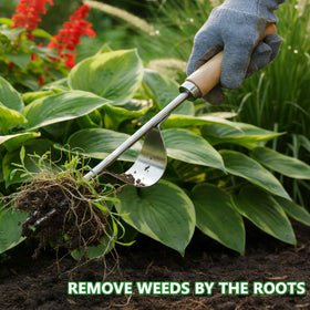 Doubleggs border weed tool for maintaining flower beds and borders.