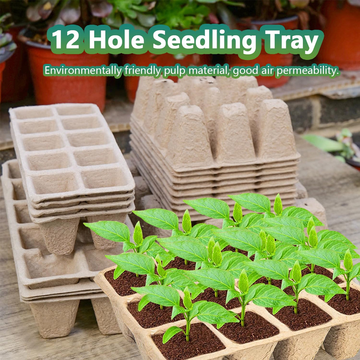 Doubleggs foldable sprayer delivers gentle, controlled watering for starters.