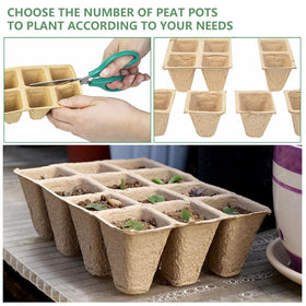 Doubleggs mini transplanting tools for precise handling of young seedlings.