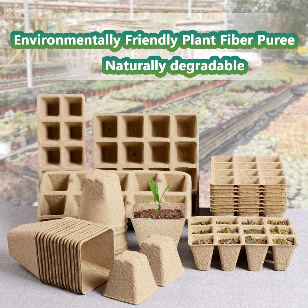 Doubleggs natural wood pulp trays support healthy root growth.