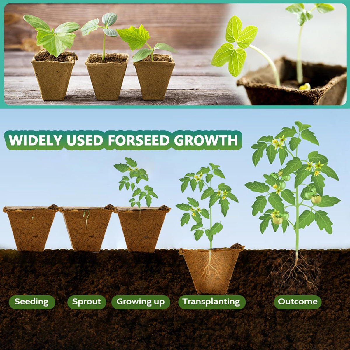 Doubleggs plant labels for organized seed tracking and labeling