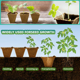 Doubleggs plant labels for organized seed tracking and labeling