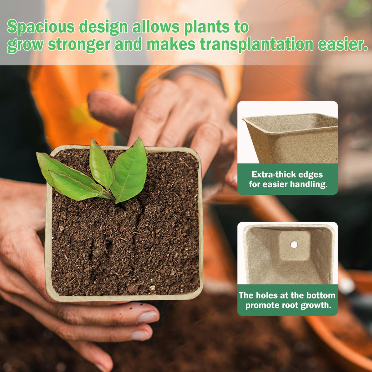 Doubleggs pot with drainage holes promoting healthy moisture management for seedlings.