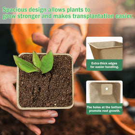 Doubleggs pot with drainage holes promoting healthy moisture management for seedlings.