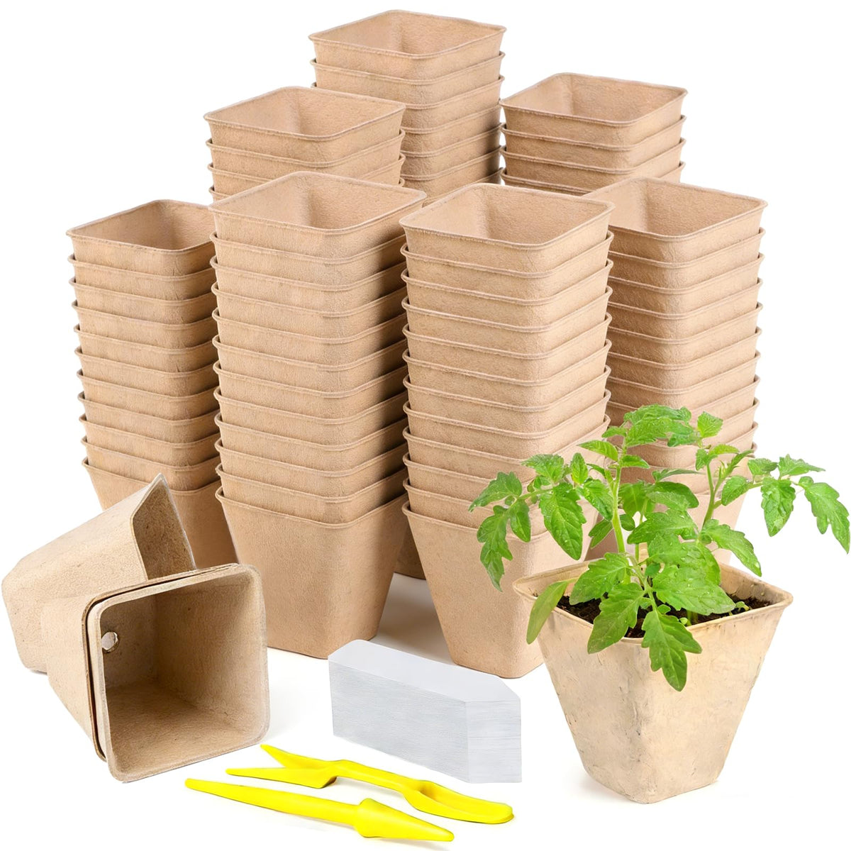 Doubleggs seed pots 70-pack set, breathable and biodegradable for healthy seed starting.
