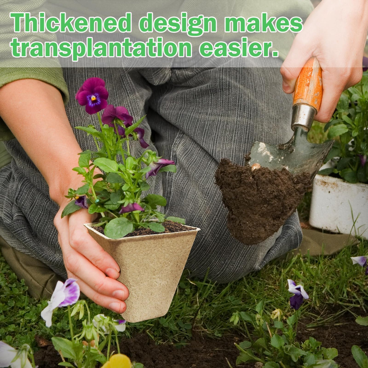 Doubleggs seedling pots 3-15-inch diameter in action with young plants.