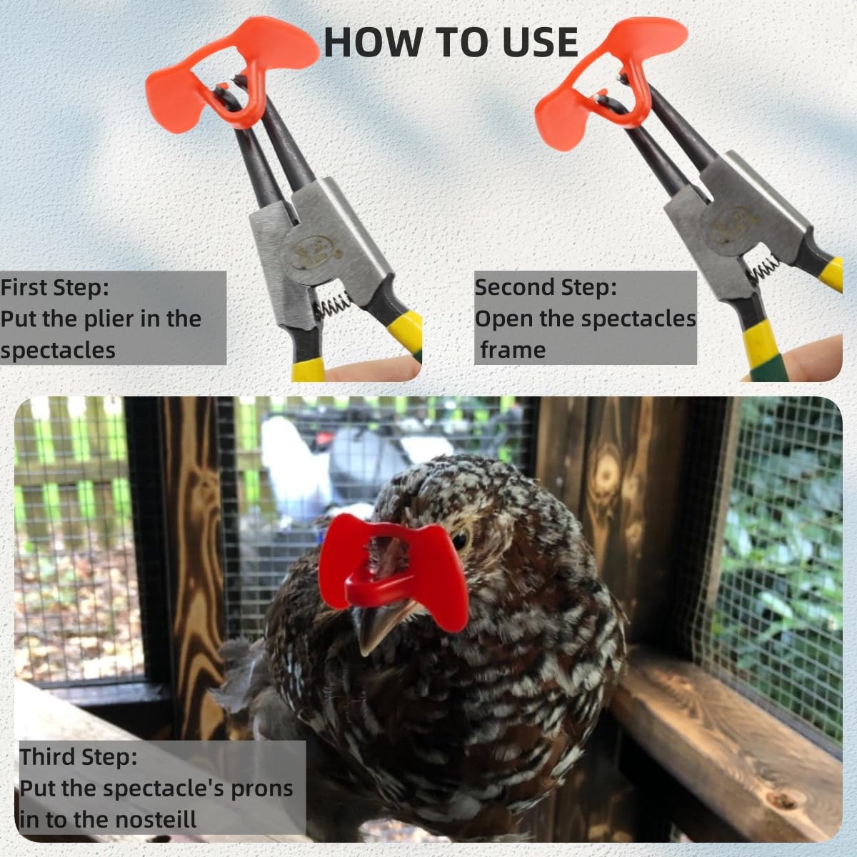 DoubleWood poultry blinders in coop reducing pecking and aggression