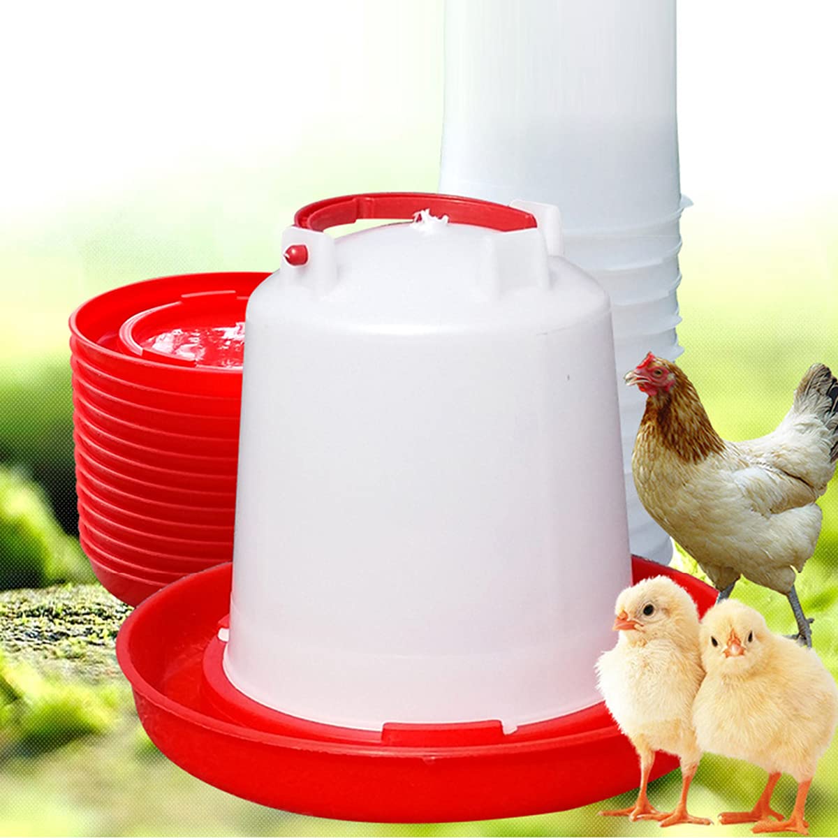 DoubleWood waterer ideal for chicks, quail, and small birds.