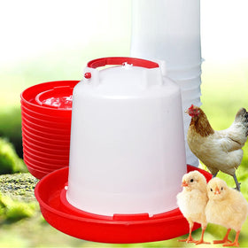 DoubleWood waterer ideal for chicks, quail, and small birds.