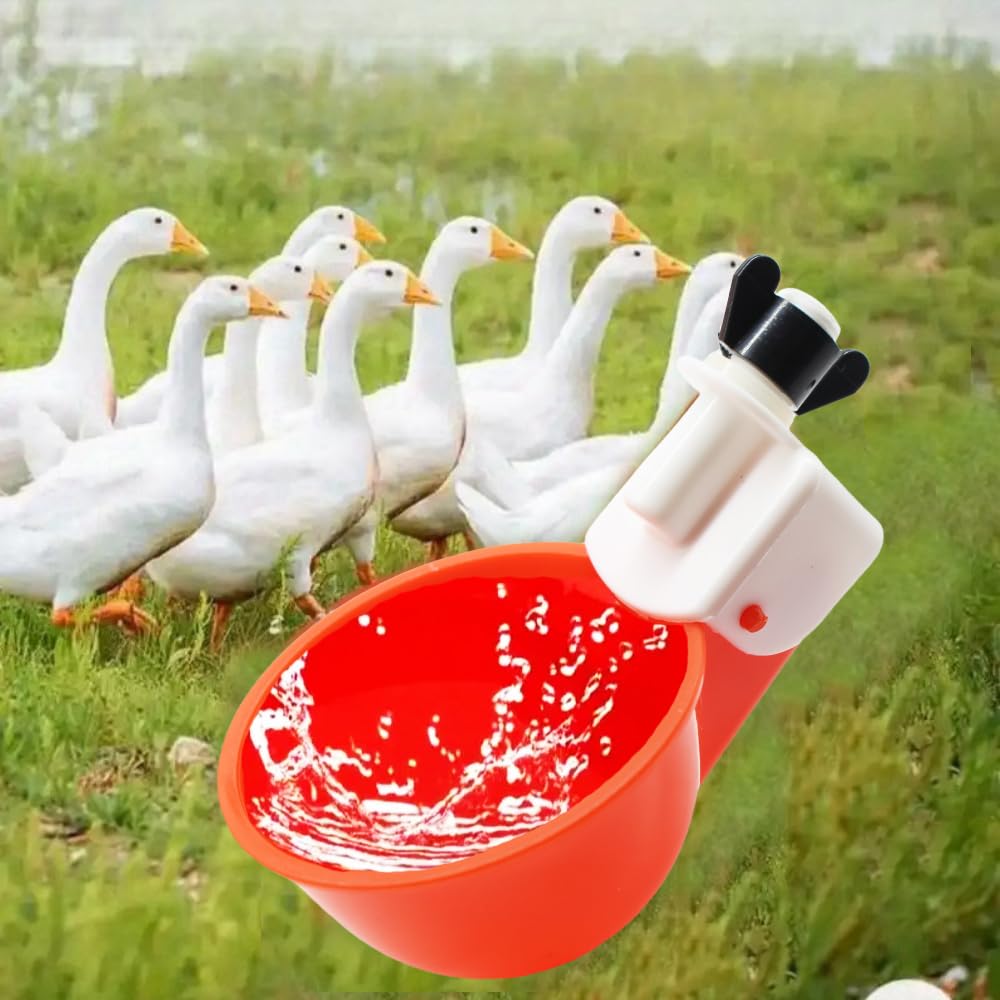 DoubleWood Waterer Cups in use with chickens and ducks for continuous hydration.